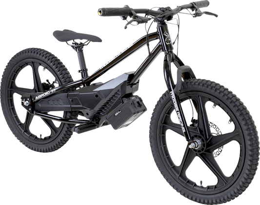 Bicicleta eléctrica de equilibrio Agroid RS-20