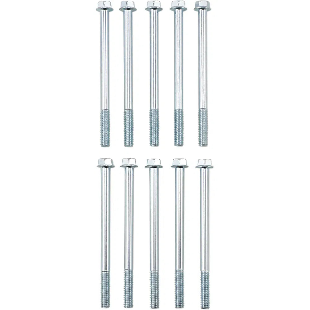 Flange Bolt M6X80 10-Pack