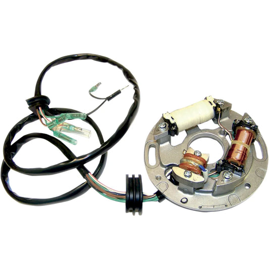 Stator Plate Assembly - Yamaha