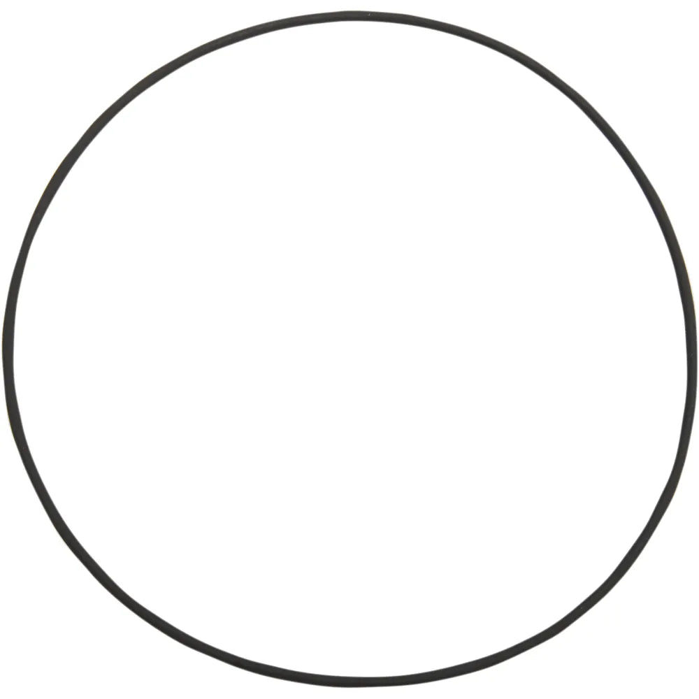 Cam Cover Large O-Ring