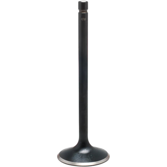 Exhaust Valve