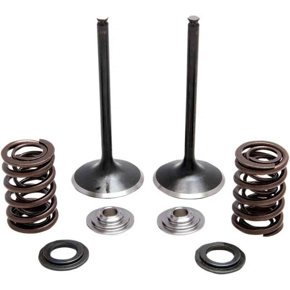 Intake Spring Kit