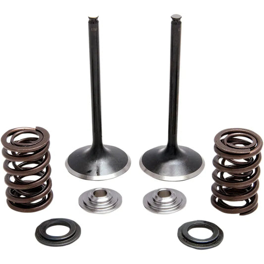 Intake Spring Kit