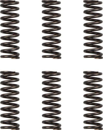 Juego de resortes de Clutch - Resortes de Clutch - WR/YZ 450F