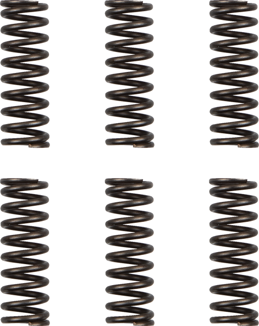 Juego de resortes de Clutch - Resortes de Clutch - WR/YZ 450F