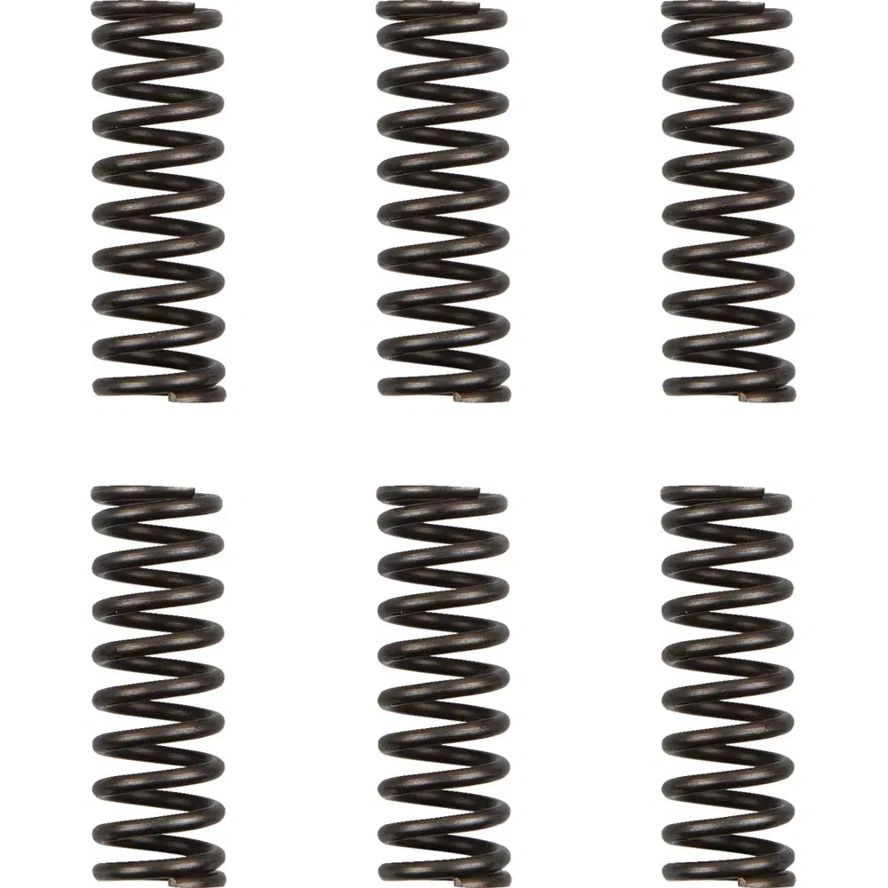 Juego de resortes de Clutch - Resortes de Clutch - WR/YZ 450F