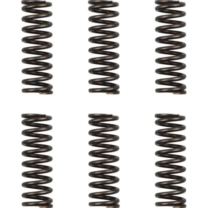 Juego de resortes de Clutch - Resortes de Clutch - WR/YZ 450F