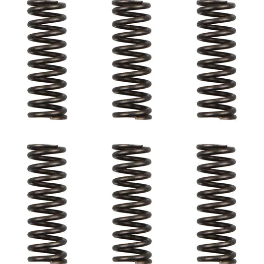 Juego de resortes de Clutch - Resortes de Clutch - WR/YZ 450F