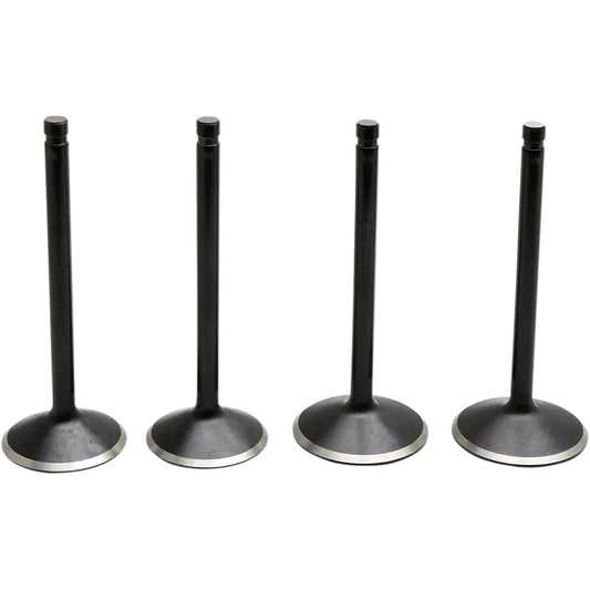 Valve Kit - Evolution