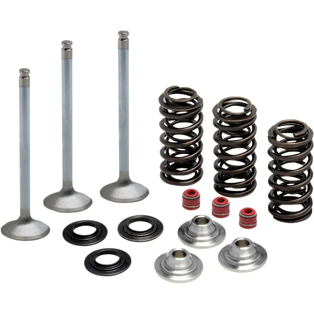 Valve Spring Kit