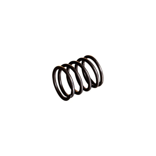Rotary Valve Spring
