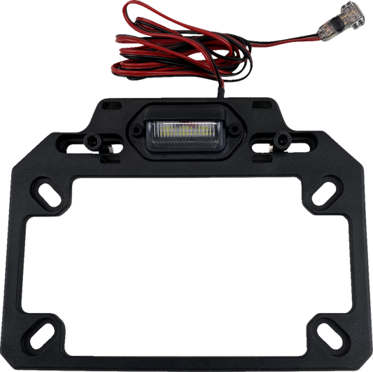 Montaje de matrícula