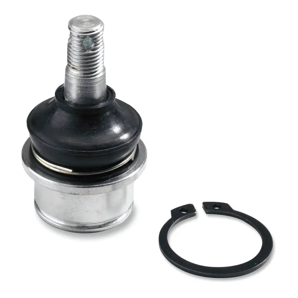 Ball Joint - Lower