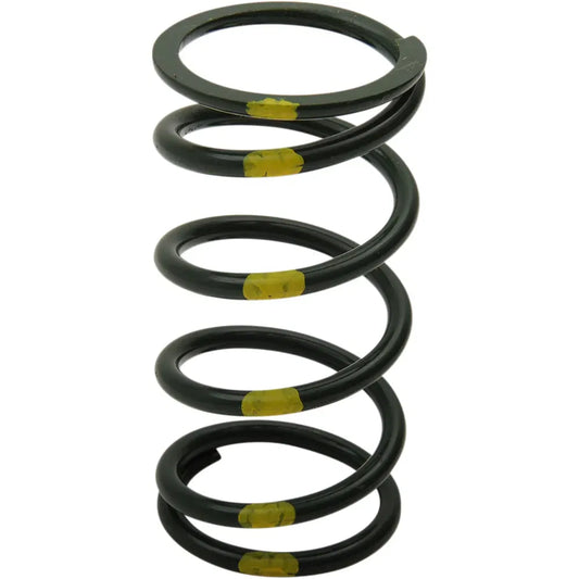 Primary Spring