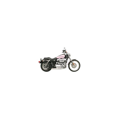 Sistema de escape Bassani Xhaust Pro-Street