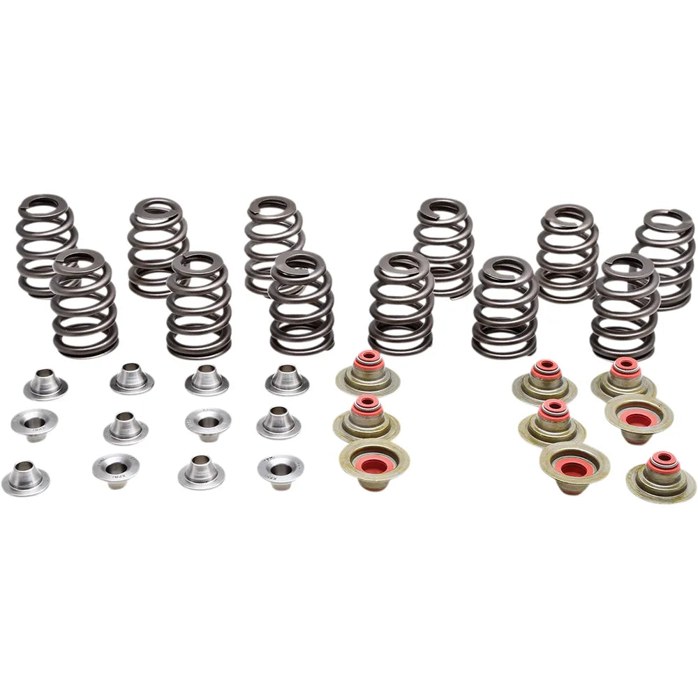 Valve Spring Kit - Beehive