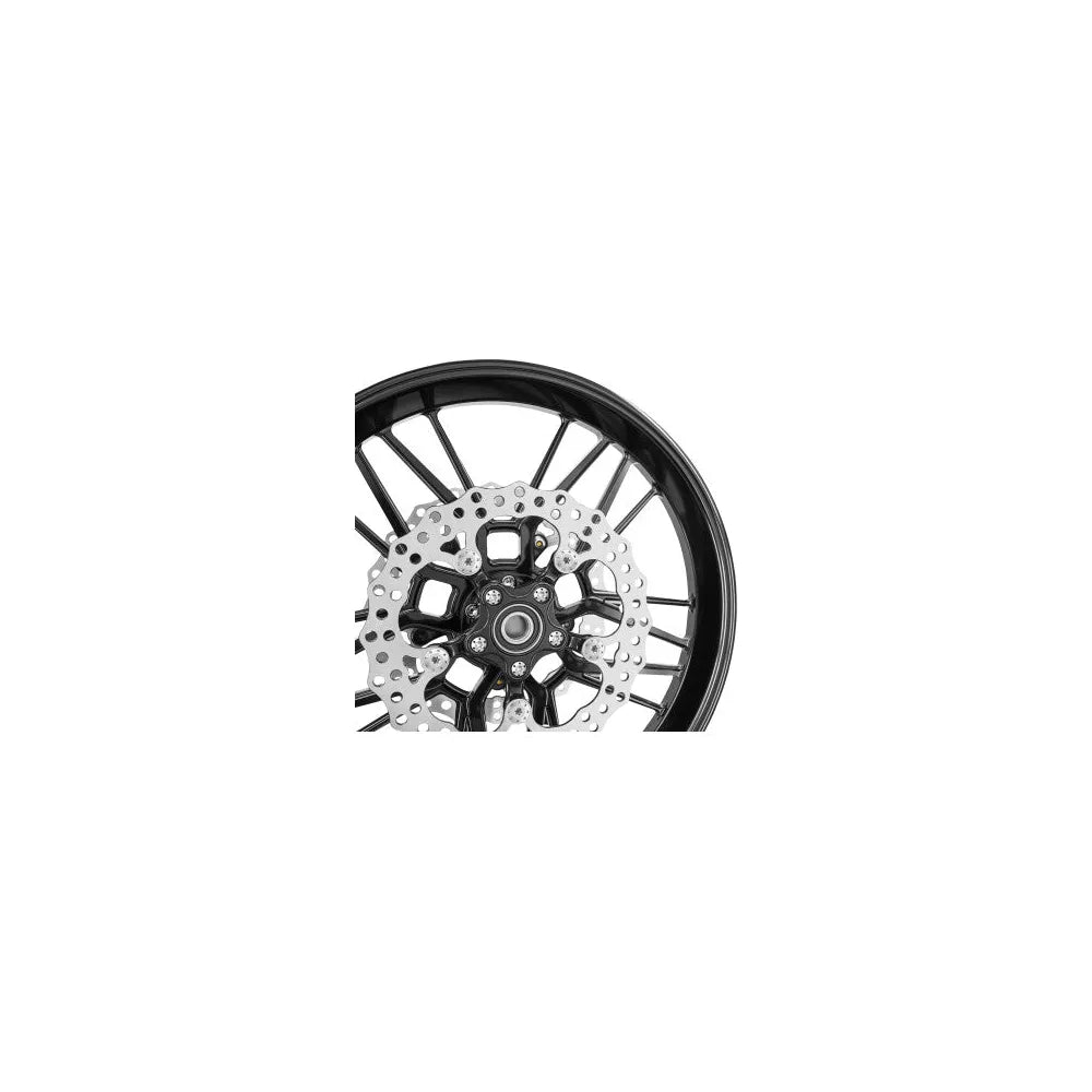 Disco de freno delantero Arlen Ness Spider 11.8"