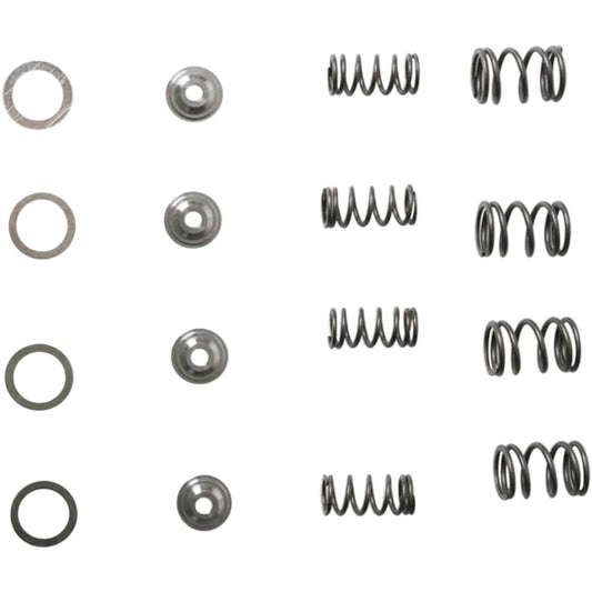 Valve Spring Kit