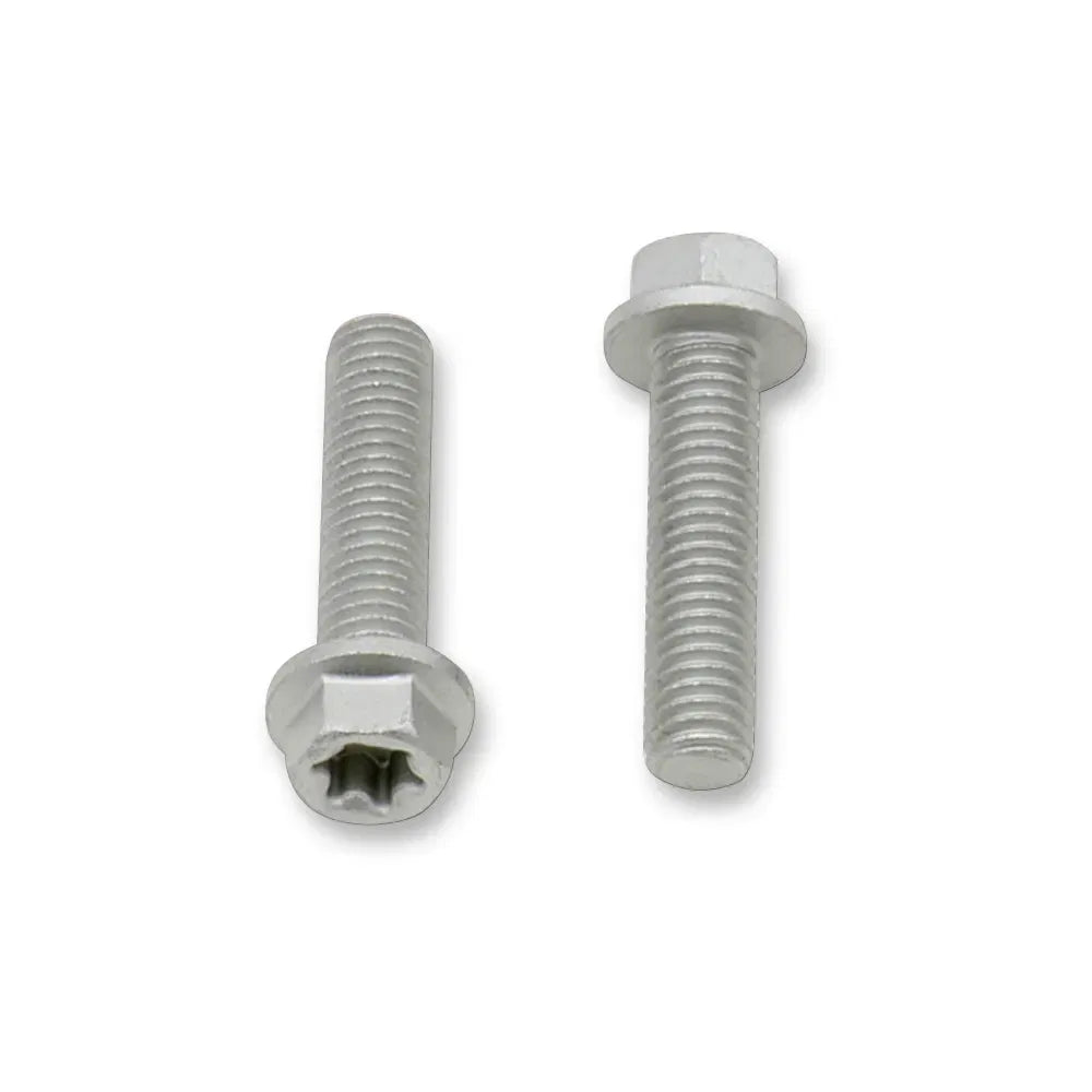 European Bolt M6x25 10-Pack