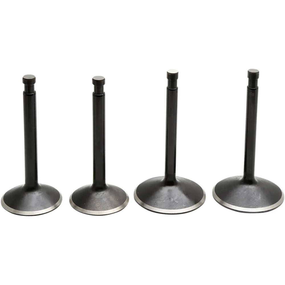 Valve Kit - Sportster