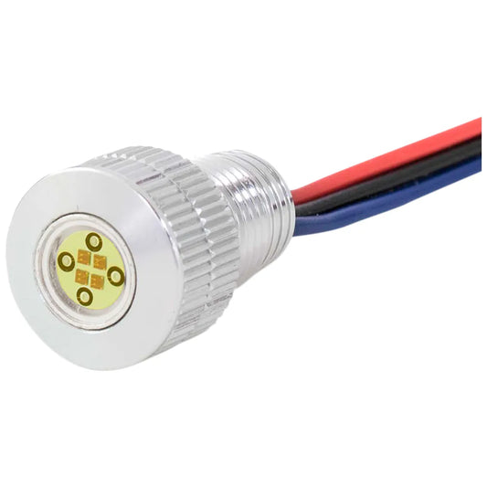 Lighning Boltz - Silver/White