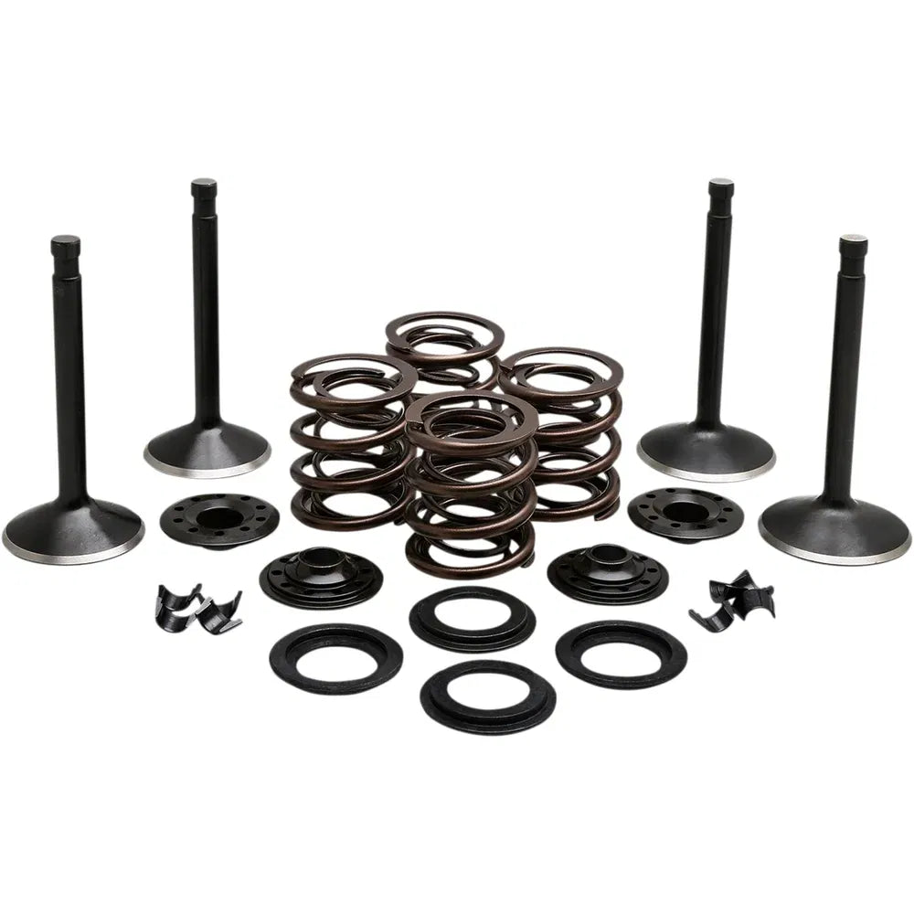 Kit de válvula del motor