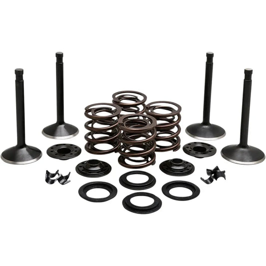 Kit de válvula del motor
