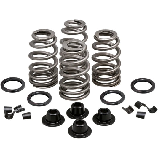 Spring Kit - .660" - Evolution/Twin Cam