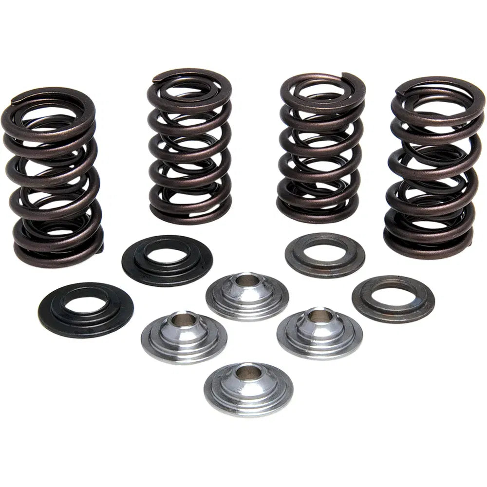 Valve Spring Kit