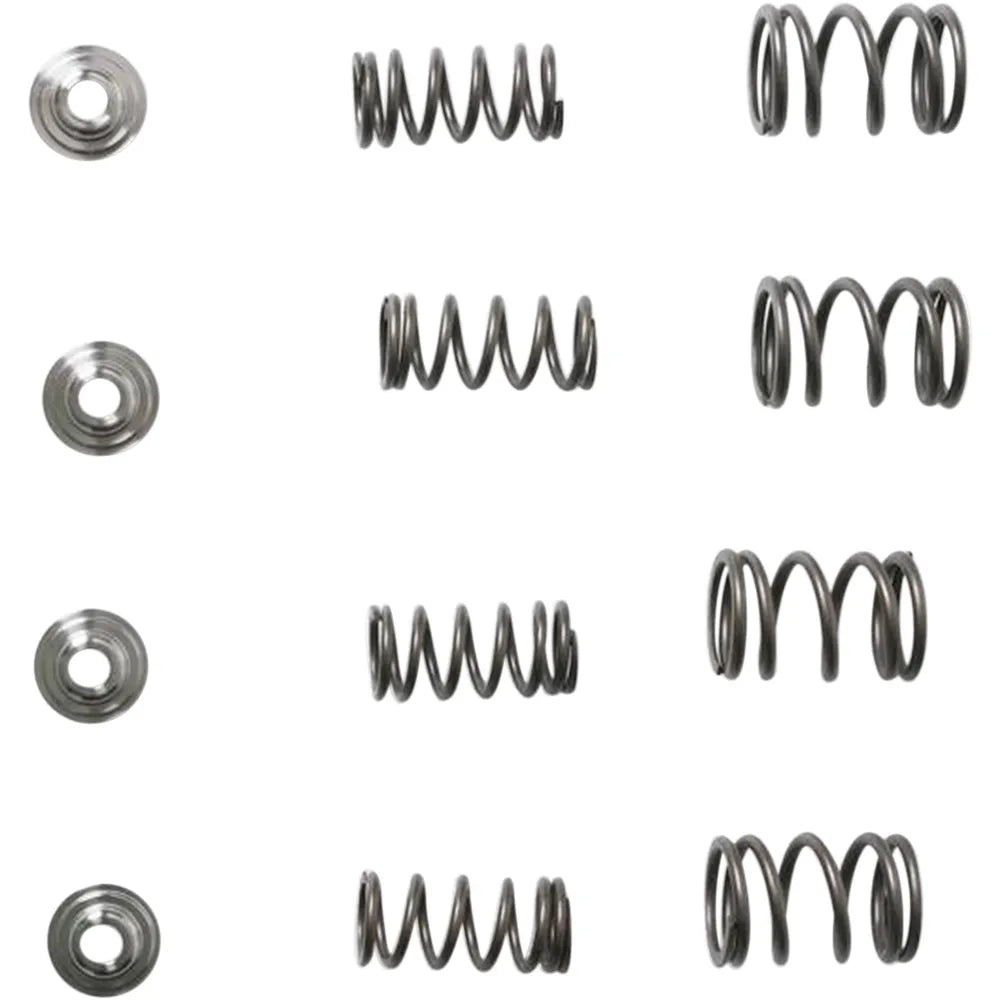 Valve Spring Kit
