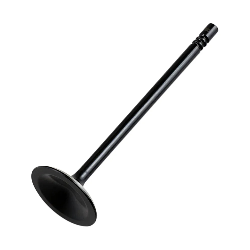 Intake Valve