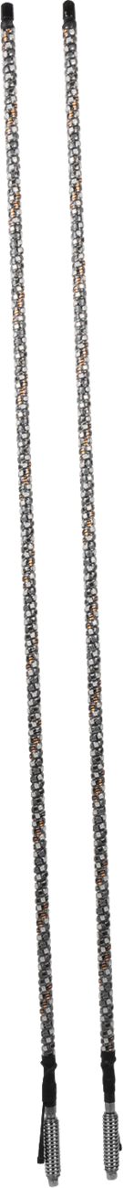 Luz de látigo Chase - Luz de látigo Chase - 5' - RGB - Bluetooth