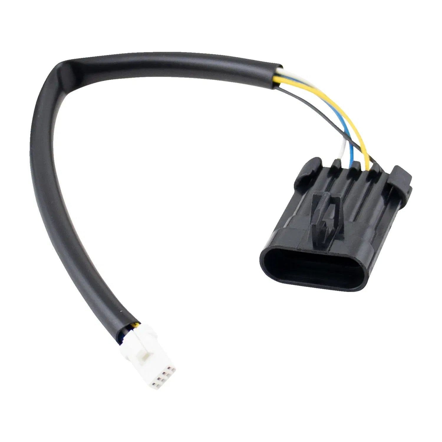 Arnés de cables