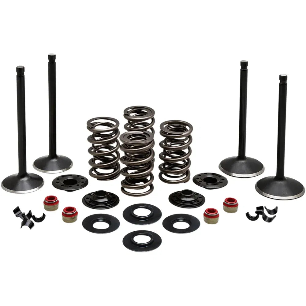 Kit de válvula del motor