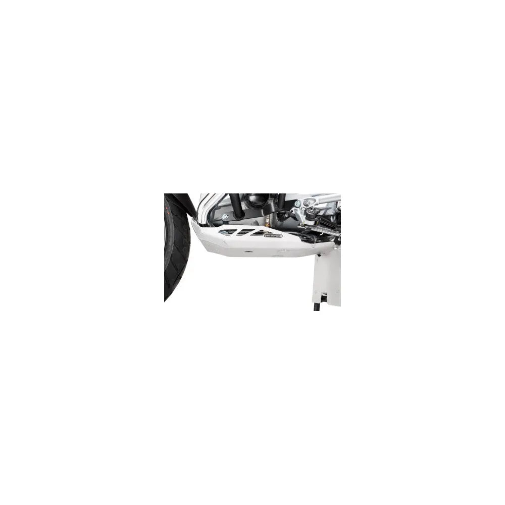 Engine Guard - Silver - BMW - R 1200 GS