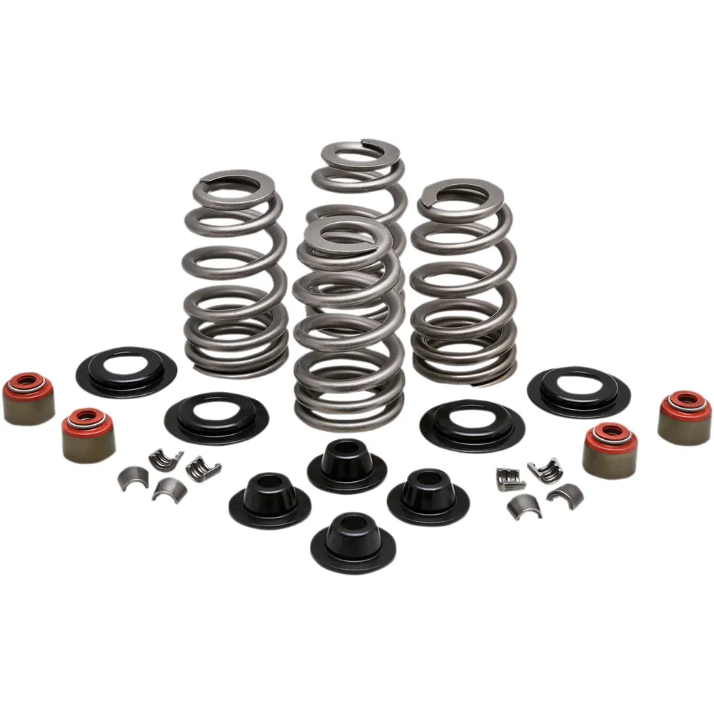 Spring Kit - .610" - Twin Cam