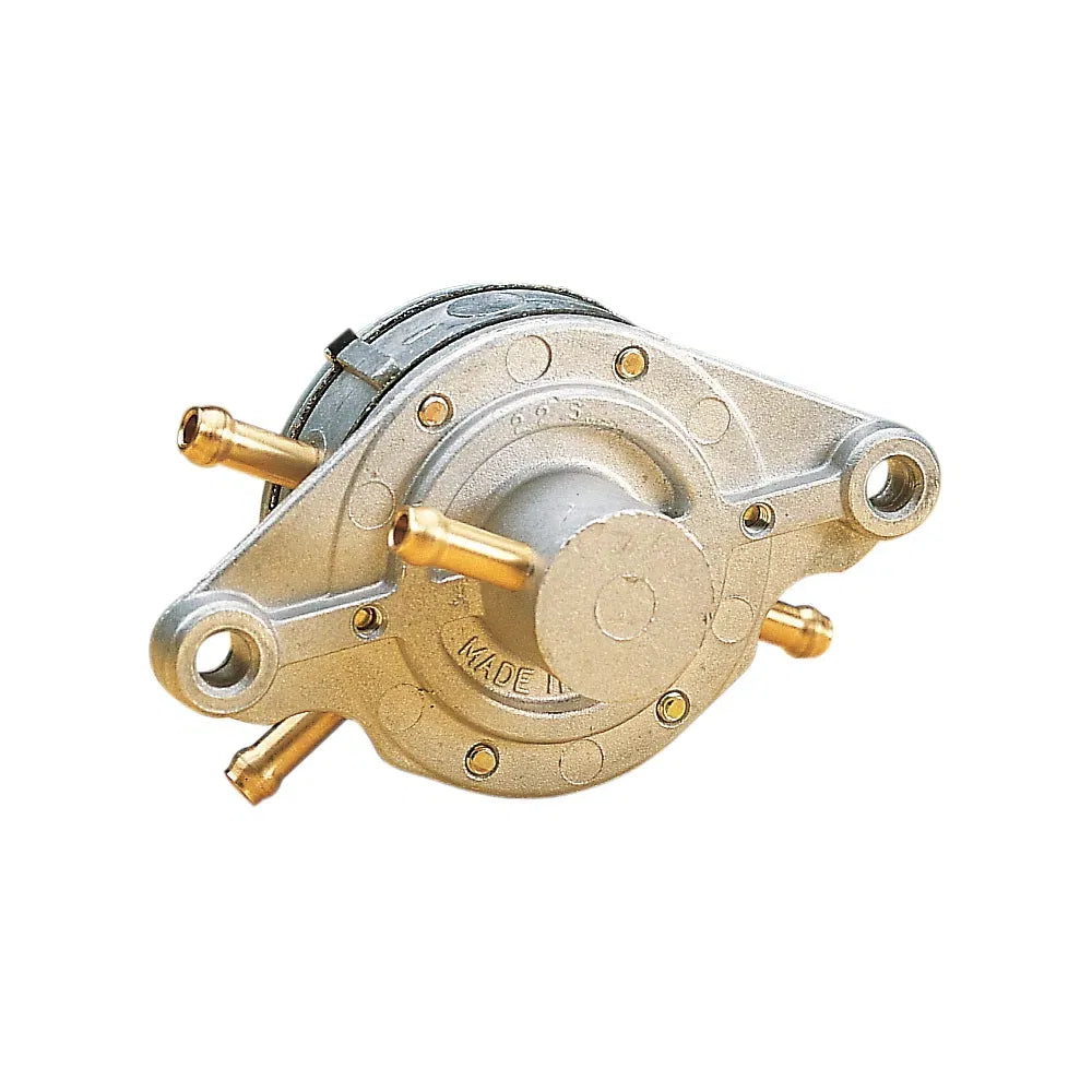 Dual Fuel Pump