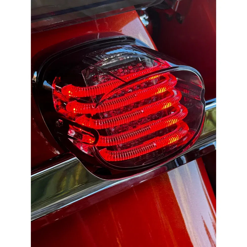 Kit de luces traseras led probeam® con respaldo cuadrado
