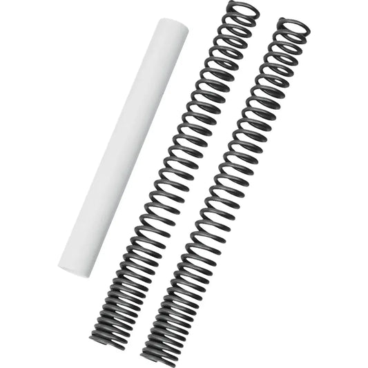Kit de resorte de horquilla