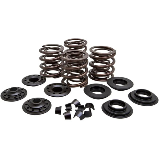 Valve Spring Kit061632
