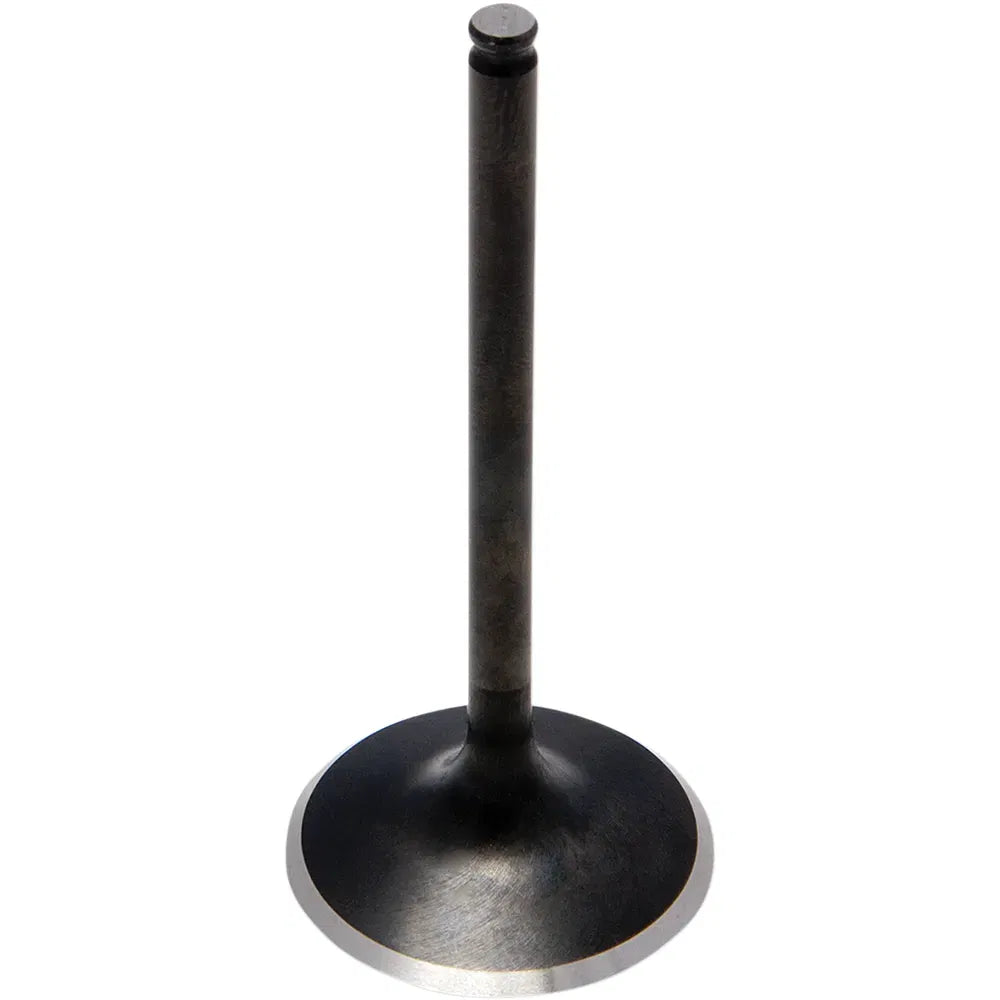 Exhaust Valve