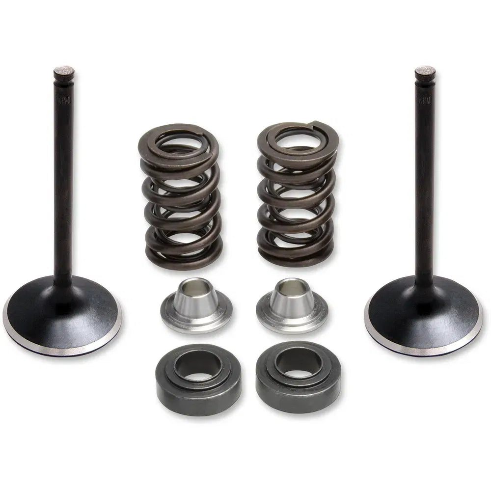 Valve Spring Kit