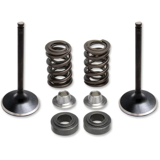 Valve Spring Kit