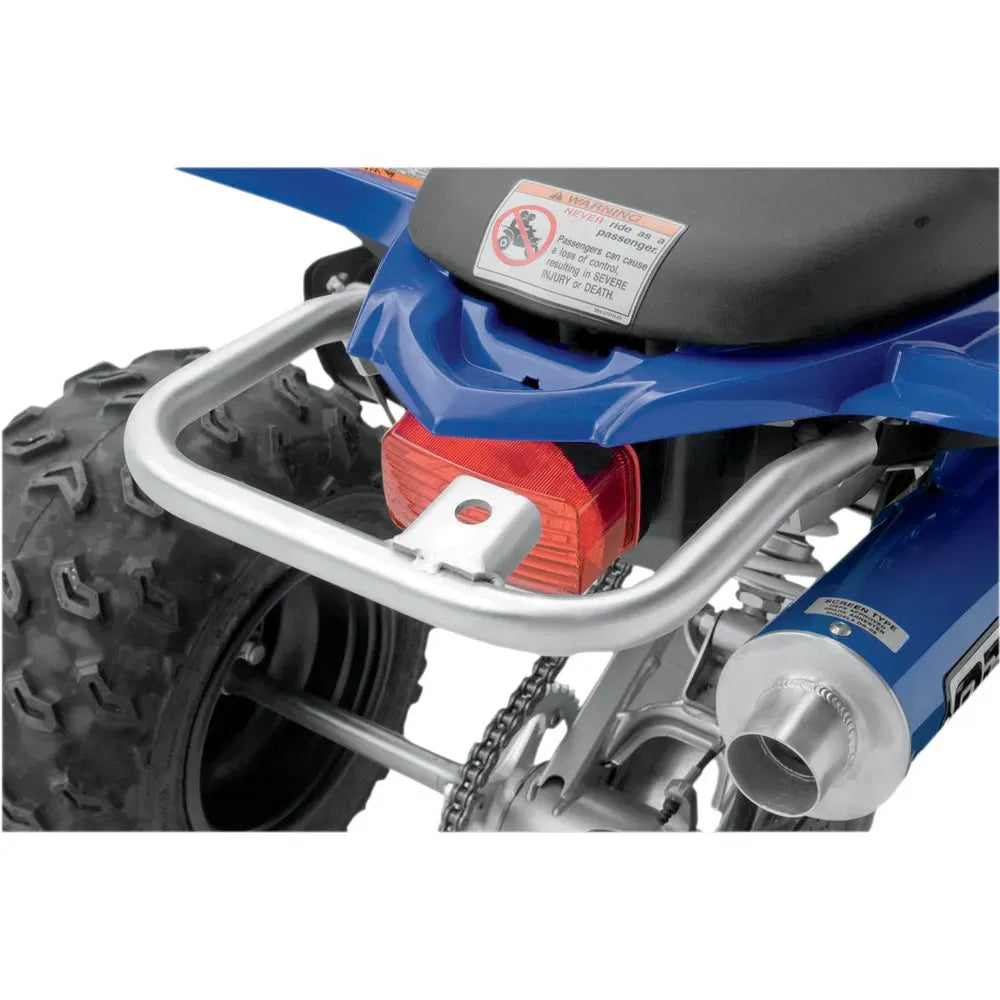 Grab Bar - Raptor 250