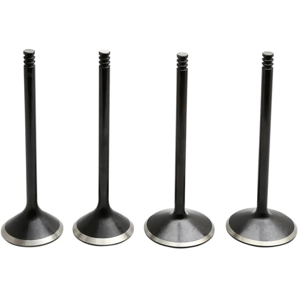 Valve Kit - Evolution/1200
