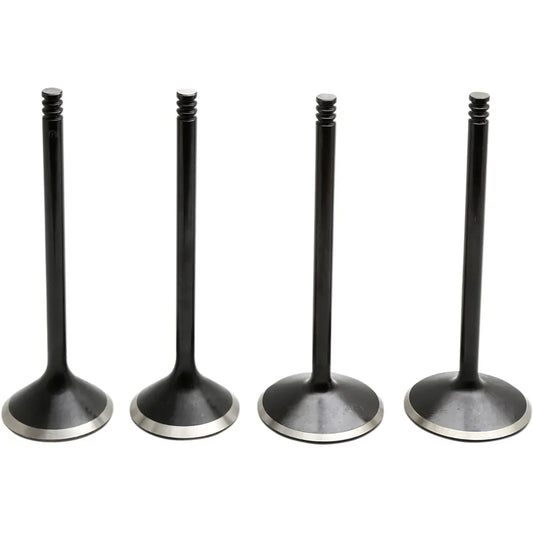 Valve Kit - Twin Cam