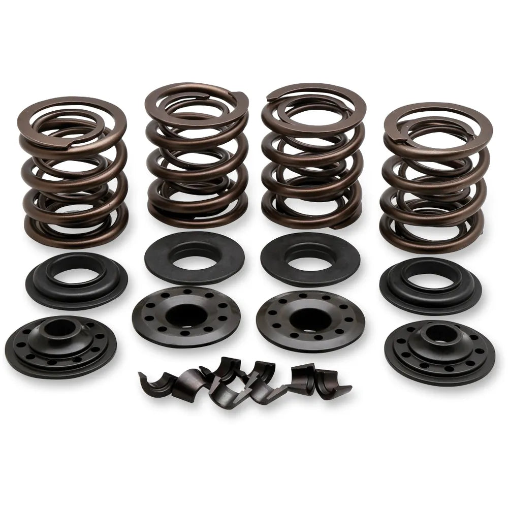 Valve Spring Kit7018073179
