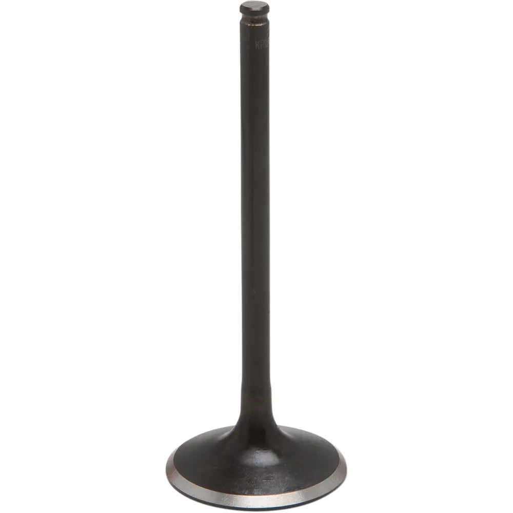 Exhaust Valve