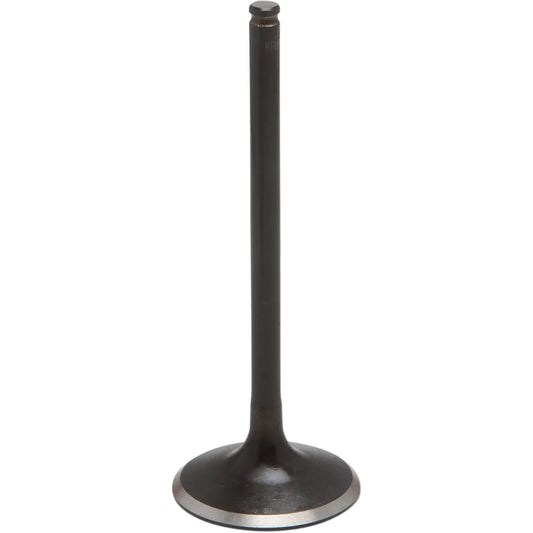 Exhaust Valve