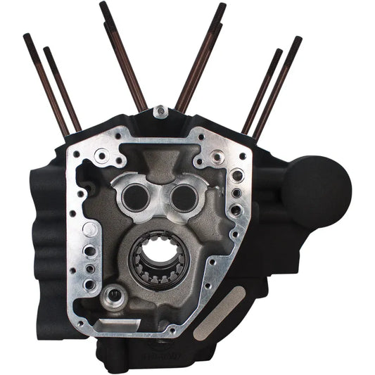 Engine Case - Twin Cam